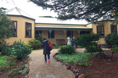 Day Tour Of Phillip Island Nature Parks & Penguins - New South Wales Tourism  7
