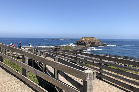 Day Tour Of Phillip Island Nature Parks & Penguins - New South Wales Tourism  9