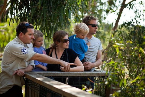 Phillip Island 3 Park Pass: Penguin Parade, Koala Conservation Centre And Penguin Parade, Koala ConservationHeritage Farm - New South Wales Tourism  0