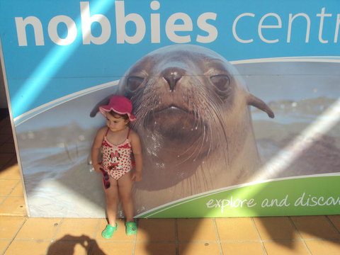 Phillip Island 3 Park Pass: Penguin Parade, Koala Conservation Centre And Penguin Parade, Koala ConservationHeritage Farm - New South Wales Tourism  3