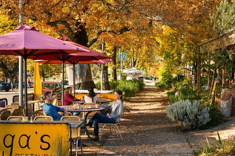 Lake Mountain Snow Trip Including Yarra Valley Chocolaterie From Melbourne - New South Wales Tourism  12