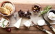 Mornington Peninsula Farm Produce Wine And Cider Tour - thumb 1