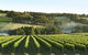 Mornington Peninsula Farm Produce Wine And Cider Tour - thumb 8