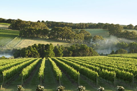 Mornington Peninsula Farm Produce Wine And Cider Tour - New South Wales Tourism  8
