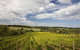 Mornington Peninsula Farm Produce Wine And Cider Tour - thumb 3