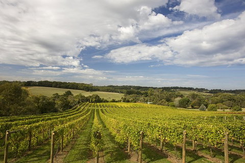 Mornington Peninsula Farm Produce Wine And Cider Tour - New South Wales Tourism  3