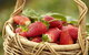 Mornington Peninsula Farm Produce Wine And Cider Tour - thumb 9