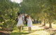 Mornington Peninsula Farm Produce Wine And Cider Tour - thumb 15