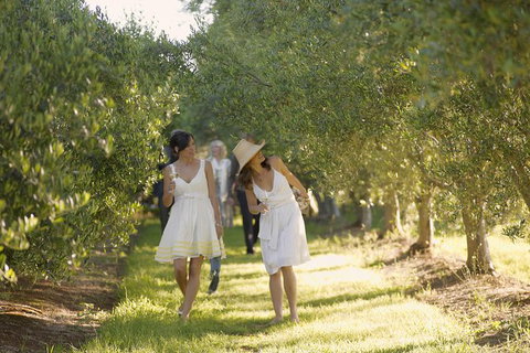 Mornington Peninsula Farm Produce Wine And Cider Tour - New South Wales Tourism  15