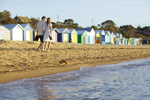Mornington Peninsula Farm Produce Wine And Cider Tour - New South Wales Tourism  10