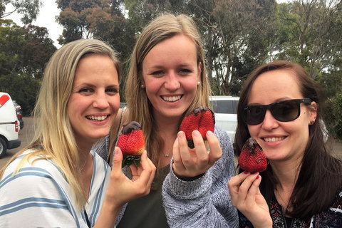 Mornington Peninsula Farm Produce Wine And Cider Tour - New South Wales Tourism  6