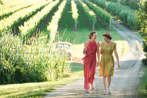 Montalto Vineyard: Mornington Peninsula Discovery Wine Tasting And Lunch - New South Wales Tourism  5