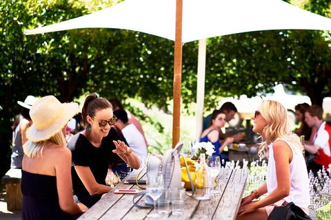 Montalto Vineyard: Mornington Peninsula Discovery Wine Tasting And Lunch - New South Wales Tourism  3