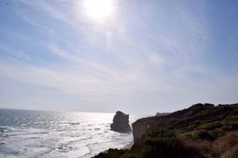 Great Ocean Road And 12 Apostles Day Trip From Melbourne - New South Wales Tourism  3
