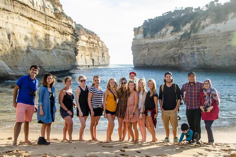 Great Ocean Road And 12 Apostles Day Trip From Melbourne - New South Wales Tourism  22