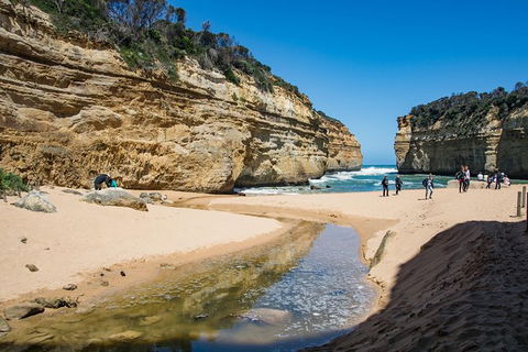 Great Ocean Road And 12 Apostles Day Trip From Melbourne - New South Wales Tourism  28
