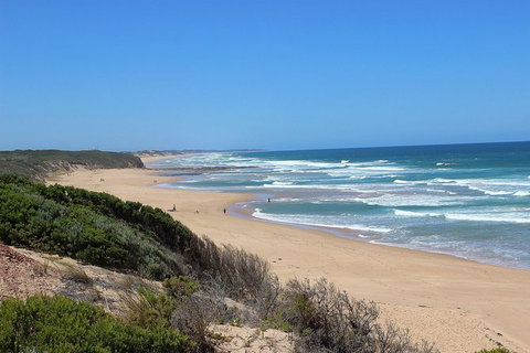 Day Tour Of Phillip Island, The Surrounding Region And Wine Tasting - New South Wales Tourism  5