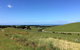 Day Tour Of Phillip Island, The Surrounding Region And Wine Tasting - thumb 6