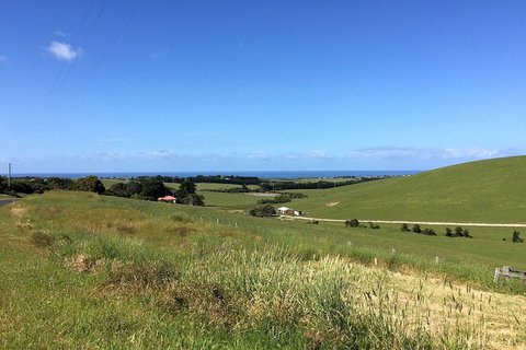 Day Tour Of Phillip Island, The Surrounding Region And Wine Tasting - New South Wales Tourism  6