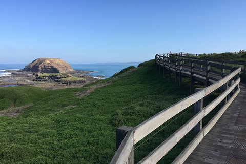 Day Tour Of Phillip Island, The Surrounding Region And Wine Tasting - New South Wales Tourism  11