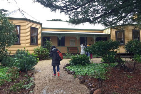 Day Tour Of Phillip Island, The Surrounding Region And Wine Tasting - New South Wales Tourism  12