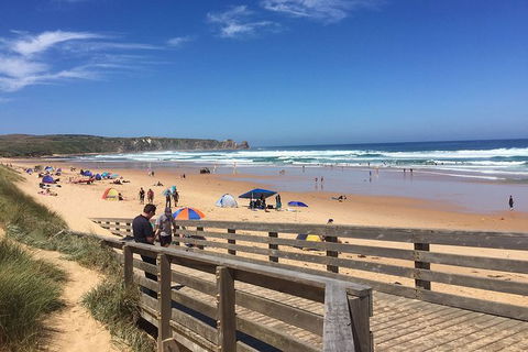 Phillip Island Tour Including Phillip Island Penguin Parade - New South Wales Tourism  2