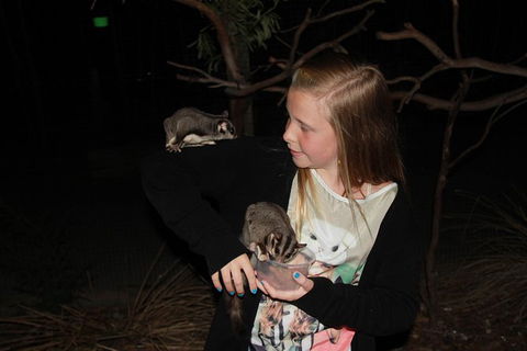 Moonlit Sanctuary Wildlife Conservation Park Evening Tour - New South Wales Tourism  1