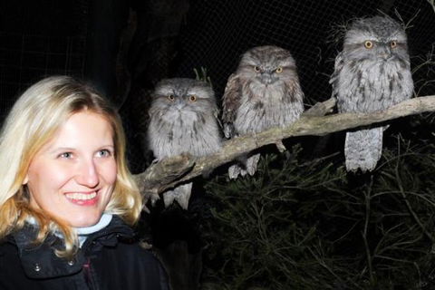 Moonlit Sanctuary Wildlife Conservation Park Evening Tour - New South Wales Tourism  0