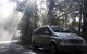 Shore Excursion-Healesville-Sanctuary-Private-Group- Max 7 PAX -Yarra Valley - thumb 0