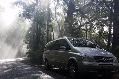 Shore Excursion-Healesville-Sanctuary-Private-Group- Max 7 PAX -Yarra Valley - New South Wales Tourism  0