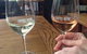 Shore Excursion-Healesville-Sanctuary-Private-Group- Max 7 PAX -Yarra Valley - thumb 1