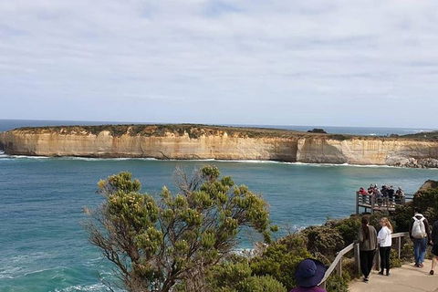 Great Ocean Road 12 Apostles Reverse Tour - New South Wales Tourism  0