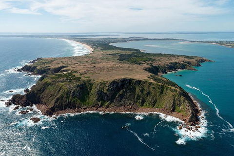 Phillip Island Helicopter Tour - New South Wales Tourism  7