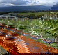 Yarra Valley Local Produce and Wine Tasting Tour - New South Wales Tourism 