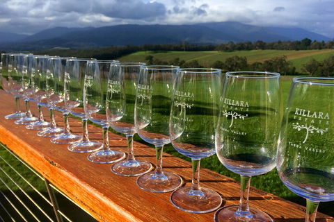 Yarra Valley Local Produce And Wine Tasting Tour - New South Wales Tourism  0