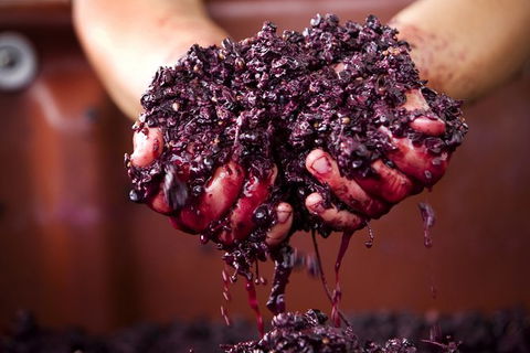 Yarra Valley Local Produce And Wine Tasting Tour - New South Wales Tourism  7