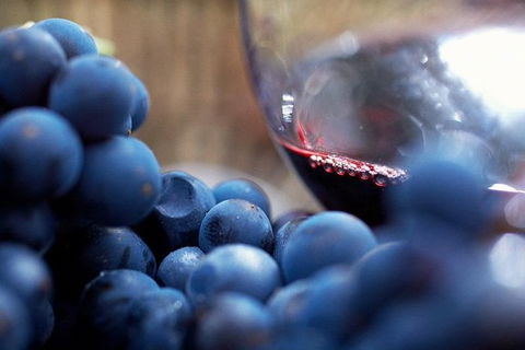 Ultimate Mornington Peninsula Food And Wine Small Group Tour - New South Wales Tourism  1