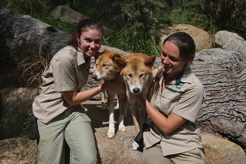 Healesville Sanctuary And Yarra Valley Day Trip From Melbourne - New South Wales Tourism  12