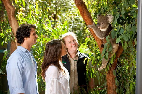 Healesville Sanctuary And Yarra Valley Day Trip From Melbourne - New South Wales Tourism  4