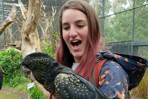 Healesville Sanctuary And Yarra Valley Day Trip From Melbourne - New South Wales Tourism  10