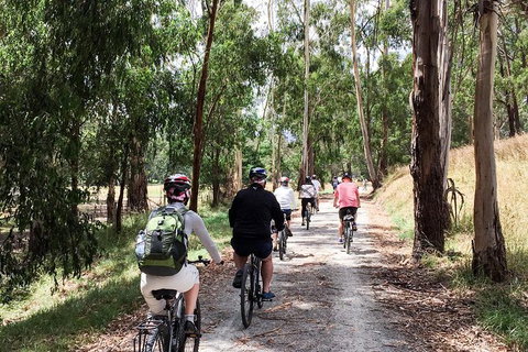 Cycle Tour | Guided | Yarra Valley Victoria | Food & Wine Region - New South Wales Tourism  2
