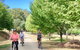 Cycle Tour | Guided | Yarra Valley Victoria | Food & Wine Region - thumb 11