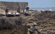 Phillip Island Wildlife Cruise With Optional Penguin Parade And 3 Park Pass - thumb 1