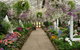 Melbourne Laneways, Arcades And City Morning Tour With Optional Yarra Cruise - thumb 8