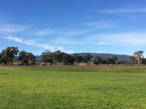 Yarra Valley Wineries And Puffing Billy Steam Train Tour From Melbourne - New South Wales Tourism  17