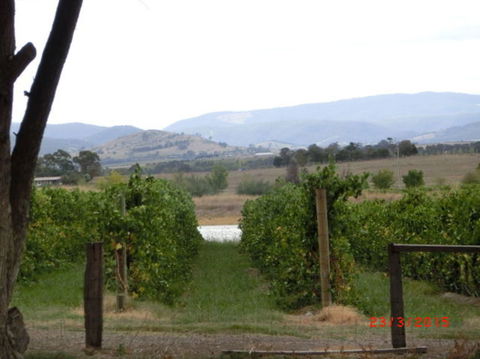 Yarra Valley Wineries And Puffing Billy Steam Train Tour From Melbourne - New South Wales Tourism  25