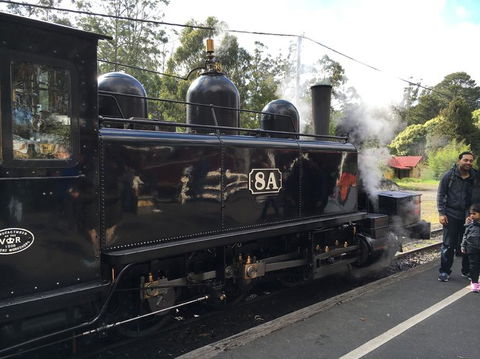 Yarra Valley Wineries And Puffing Billy Steam Train Tour From Melbourne - New South Wales Tourism  13