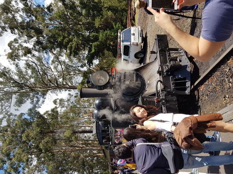 Yarra Valley Wineries And Puffing Billy Steam Train Tour From Melbourne - New South Wales Tourism  5