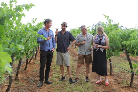 Yarra Valley Wineries And Puffing Billy Steam Train Tour From Melbourne - New South Wales Tourism  29
