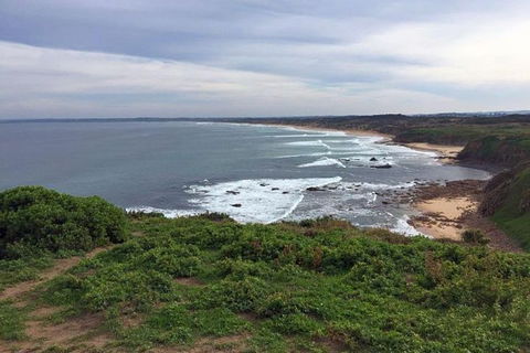 Half Day Phillip Island Woolamai Walking Tour - New South Wales Tourism  0